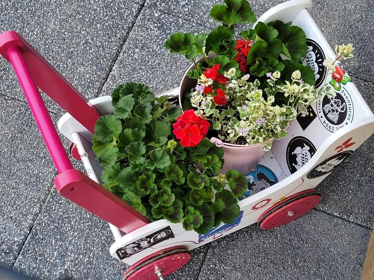 Apartament Nina Jelenia Góra Eksteriør billede